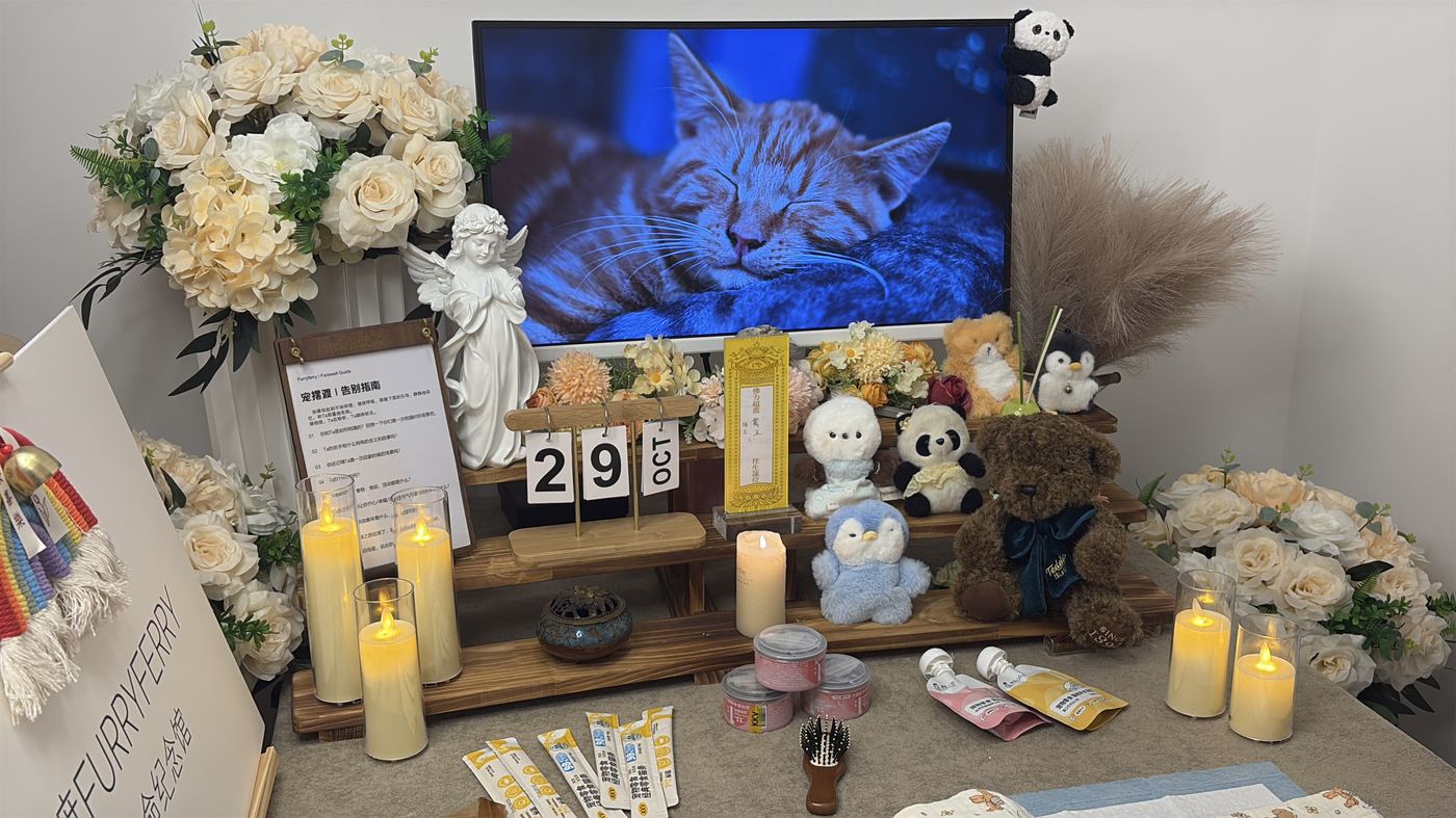 宠物纪念品怎么选？威海常见纪念方式盘点